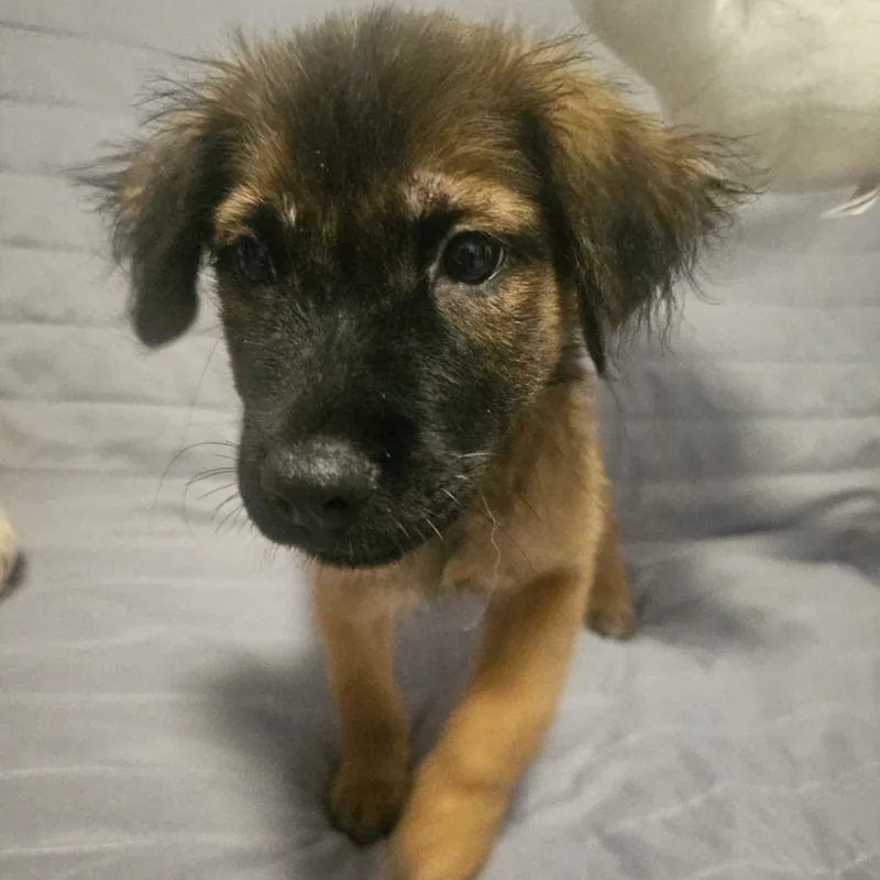 Happy "definitely." thumbnail 2