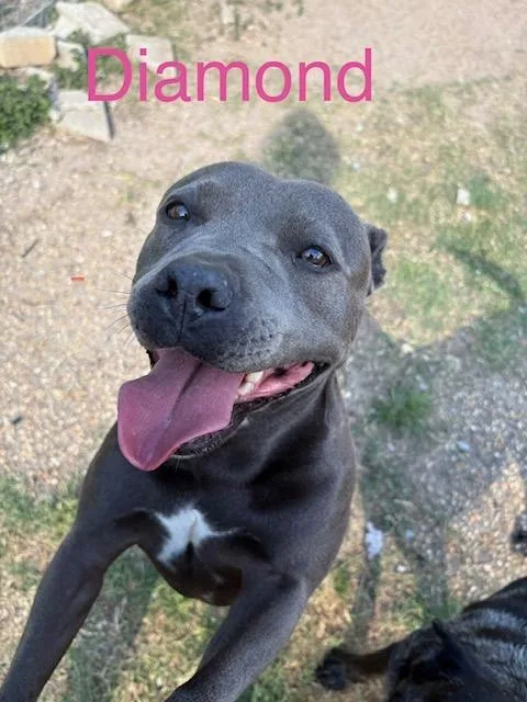 Diamond