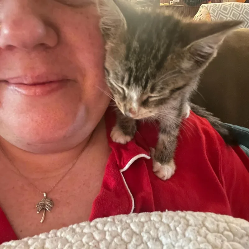 Hayden & Olive BONDED thumbnail 2