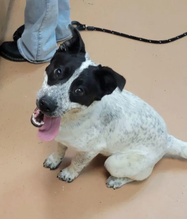 Silly Susan thumbnail 3