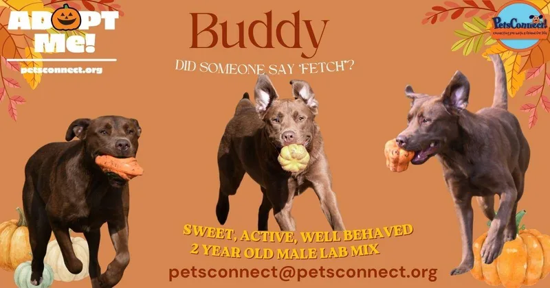 Buddy thumbnail 3