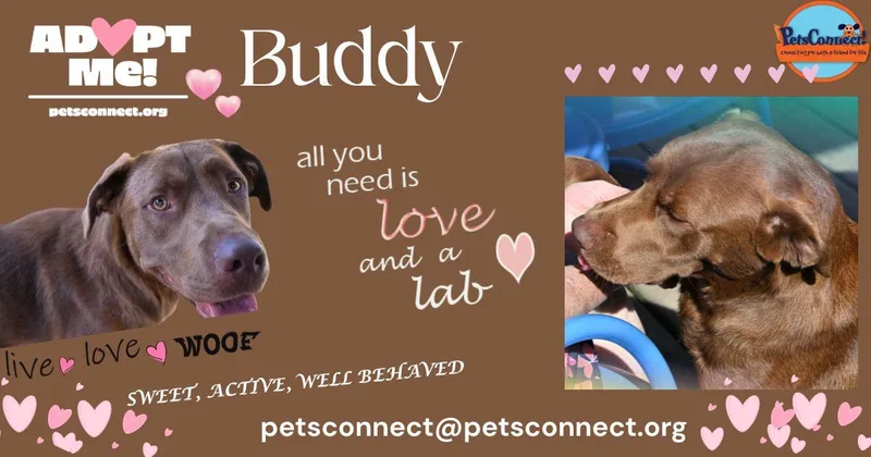 Buddy thumbnail 5