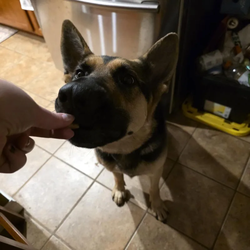 Sookie D thumbnail 3