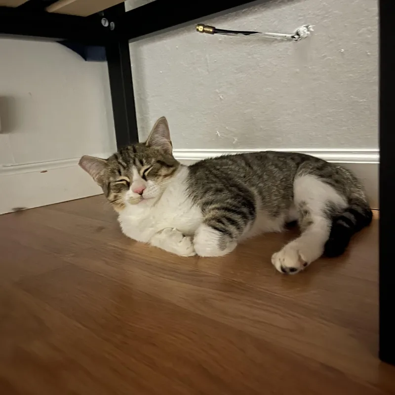 Karen thumbnail 5