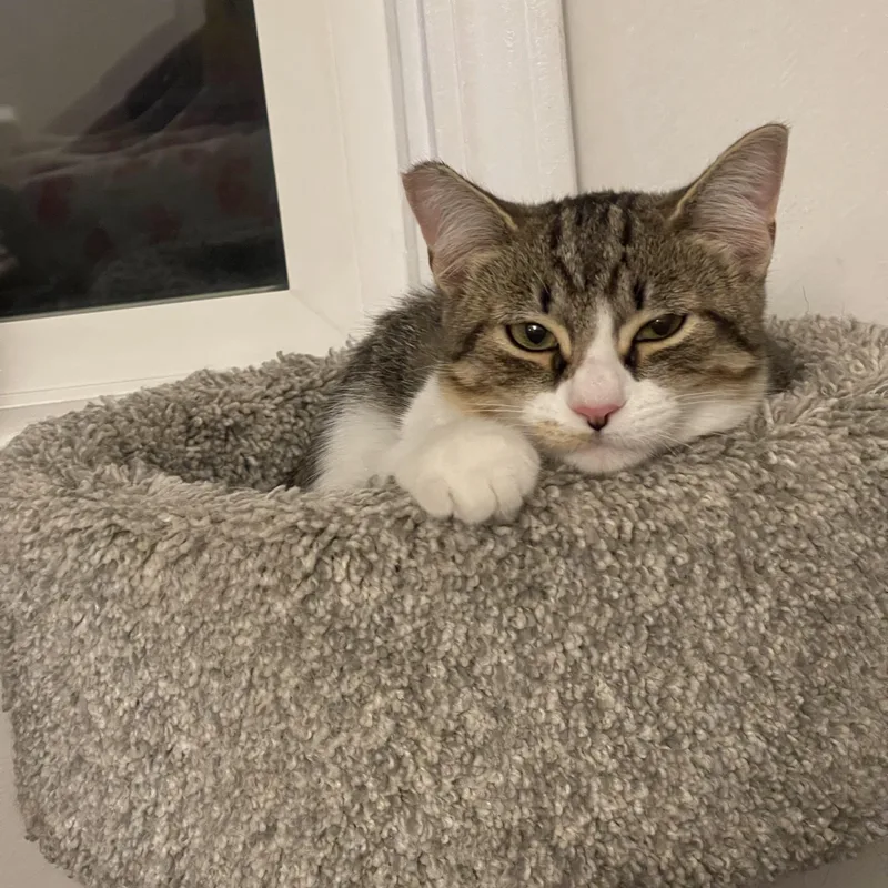 Karen thumbnail 6