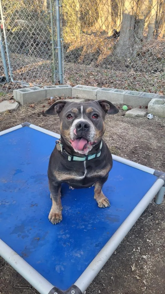 Cinderella thumbnail 2