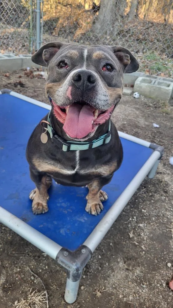 Cinderella thumbnail 4