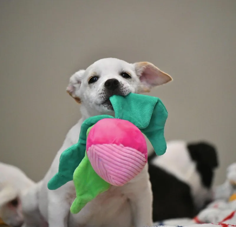 Bianca From The B thumbnail 2