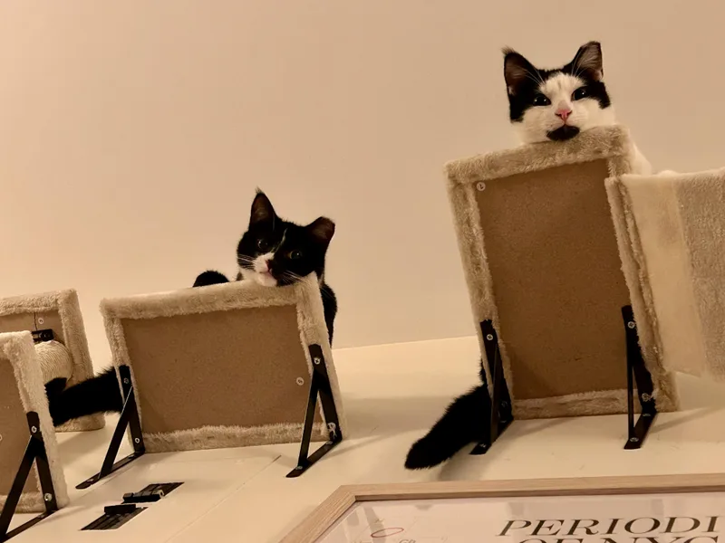 Mickey & Minnie thumbnail 3