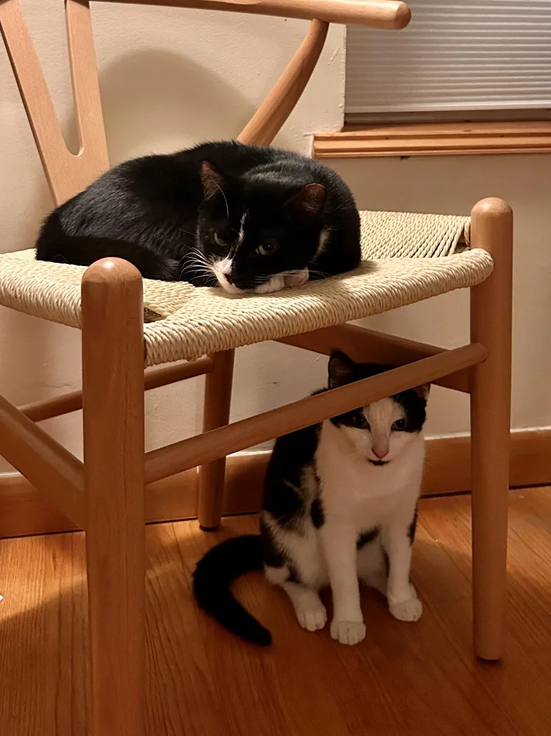 Mickey & Minnie thumbnail 6