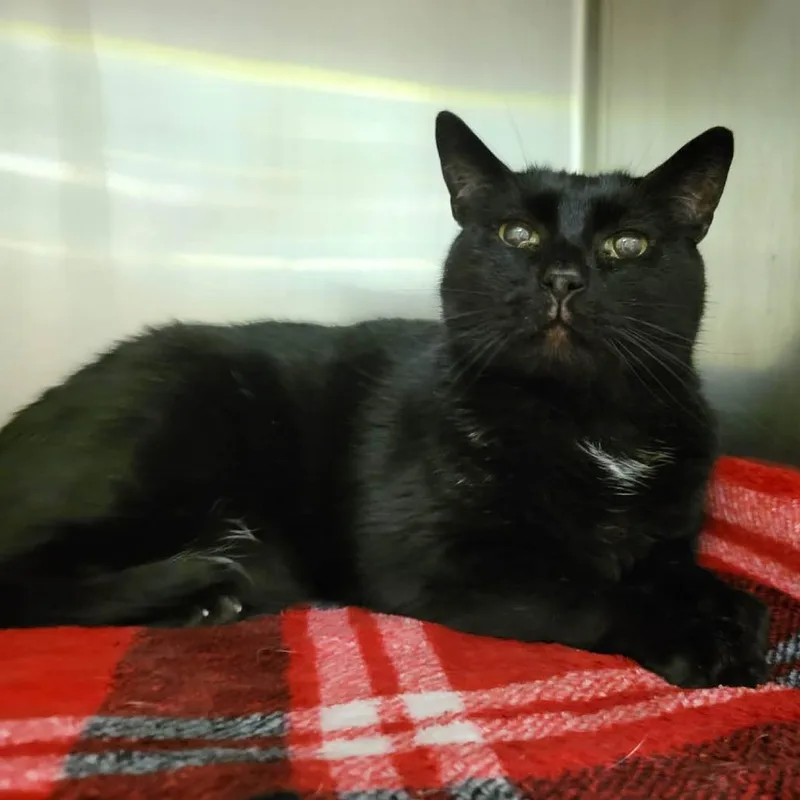 Reuben James thumbnail 2