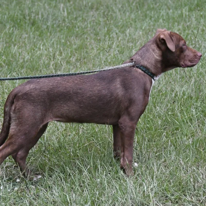 Ethel