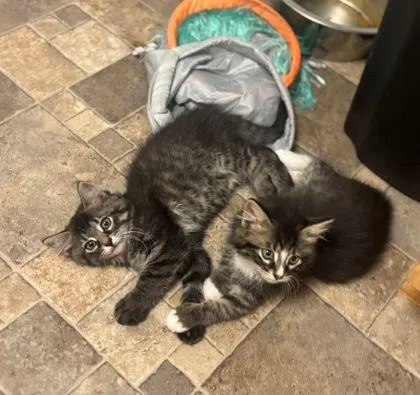 Betsy & Niko