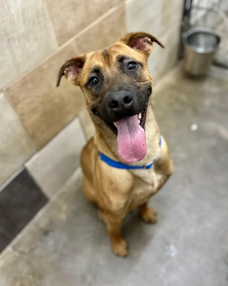 Rocky Road thumbnail 2