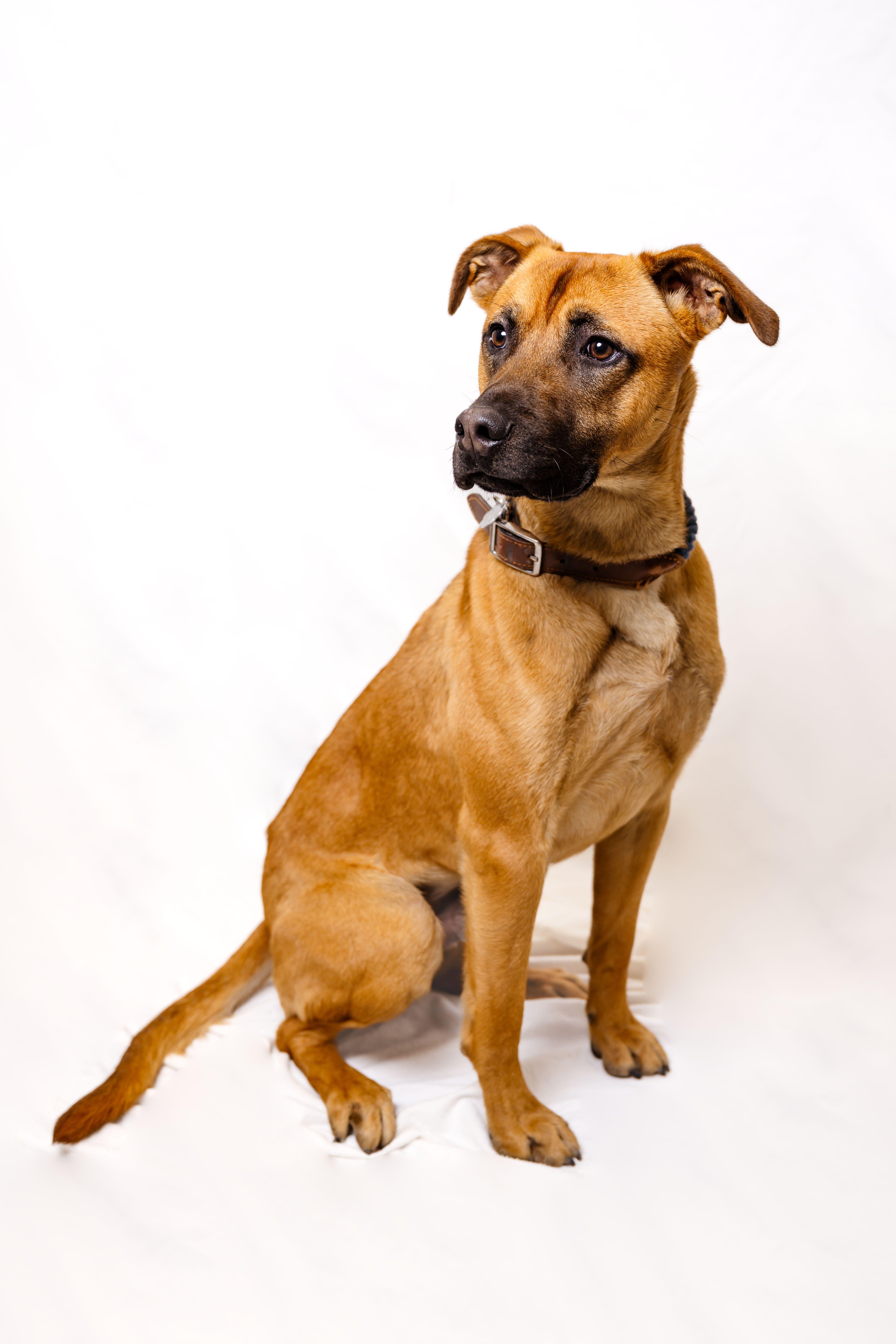 Rocky Road thumbnail 3