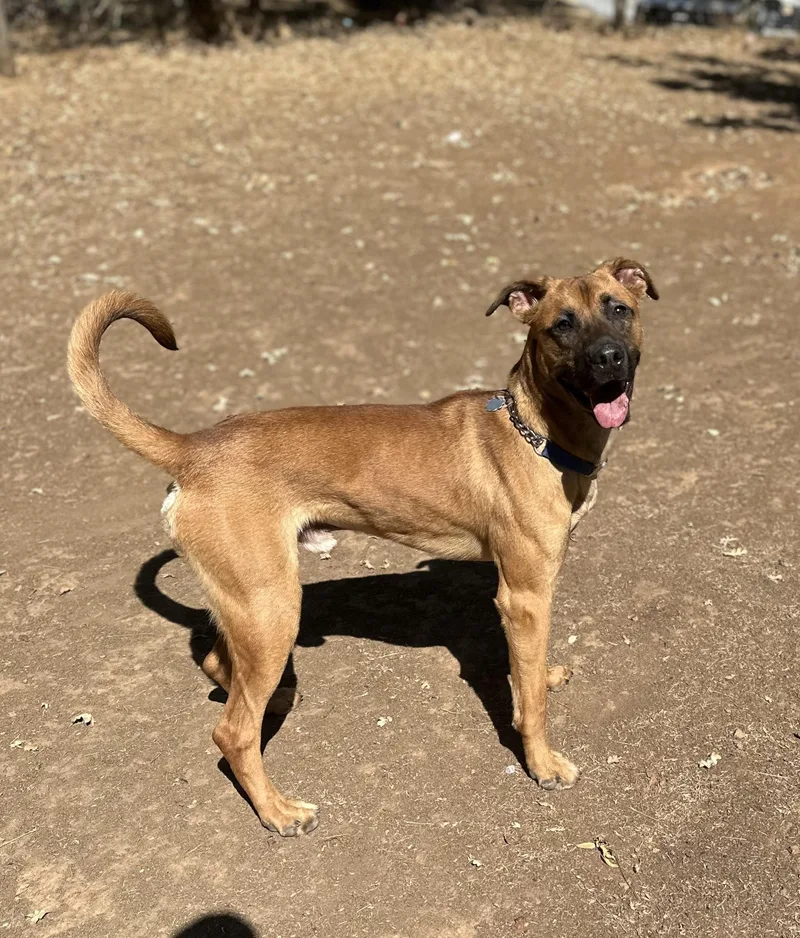 Rocky Road thumbnail 4