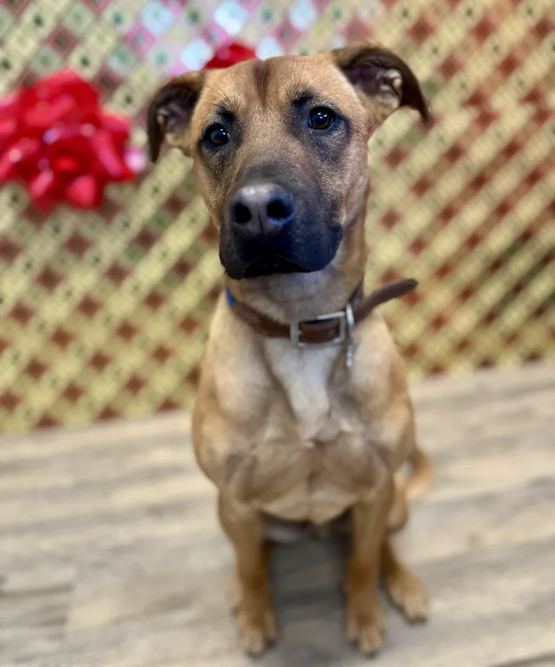 Rocky Road thumbnail 5