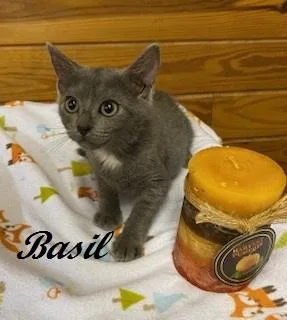 Basil of Baker Street thumbnail 2