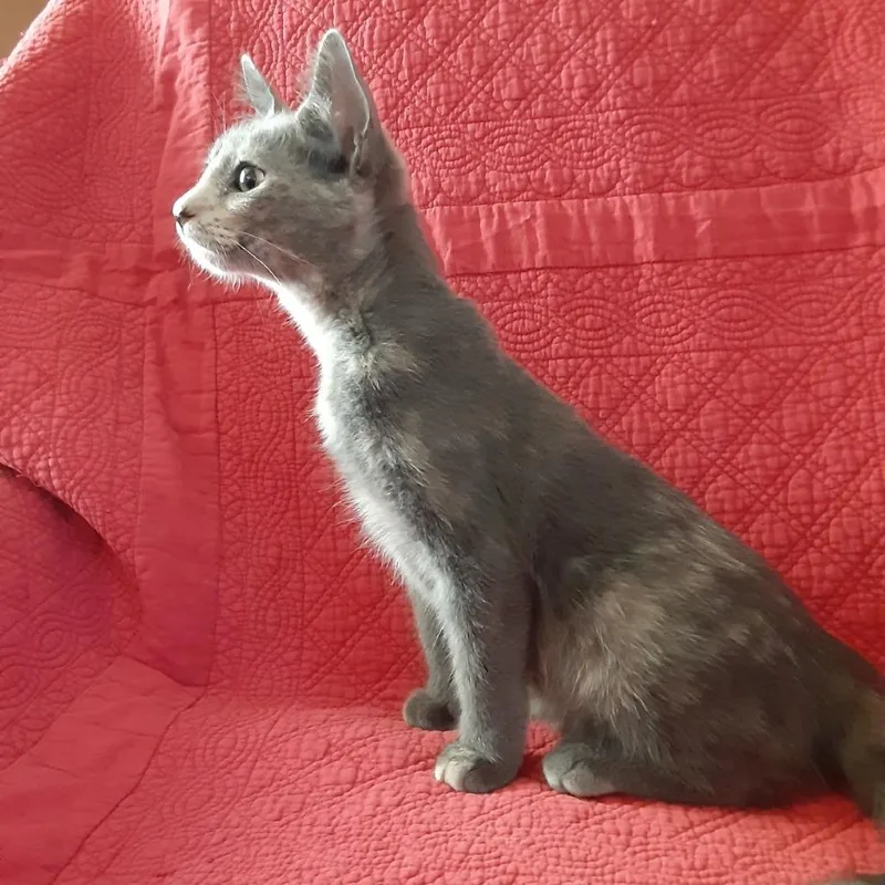 Sally thumbnail 3