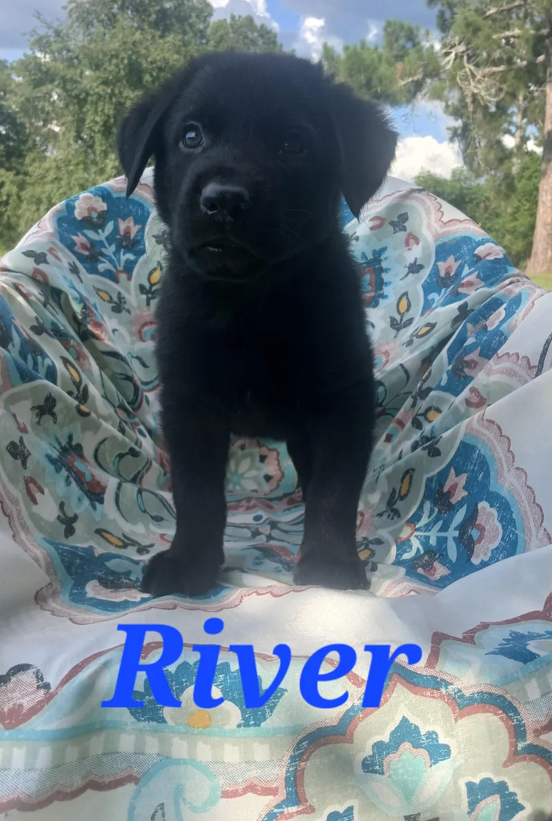 River thumbnail 2