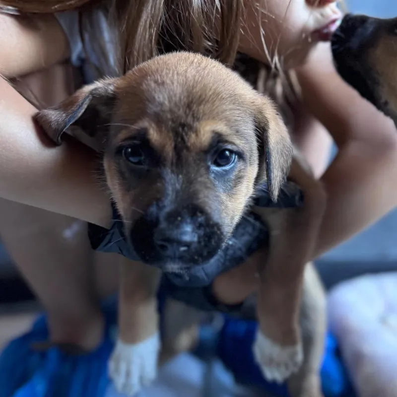 Georgia