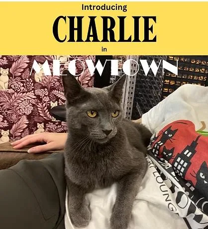 Charlie thumbnail 3