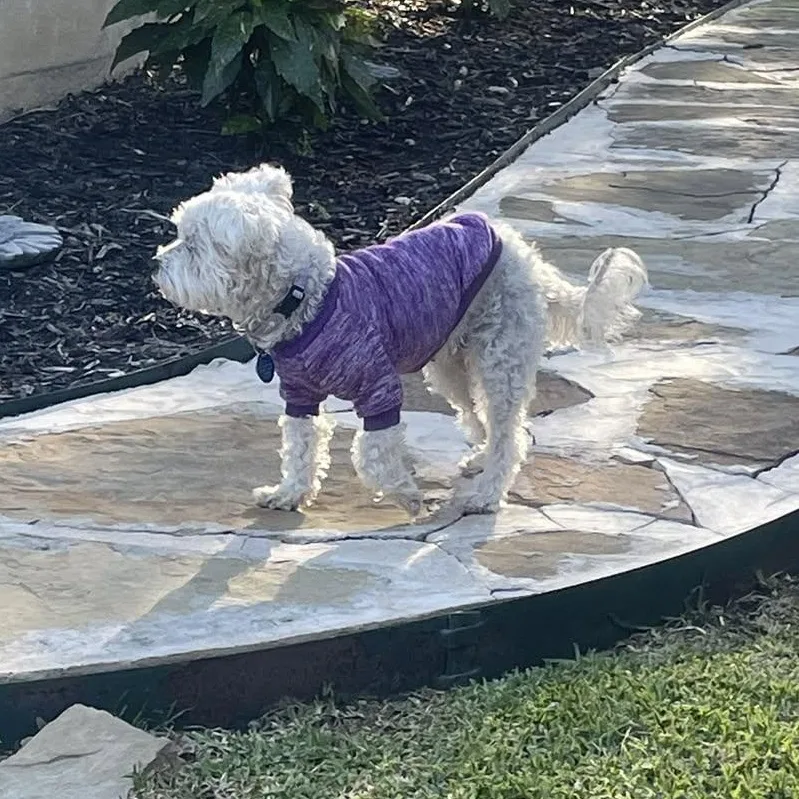 Nanna Lewis thumbnail 2