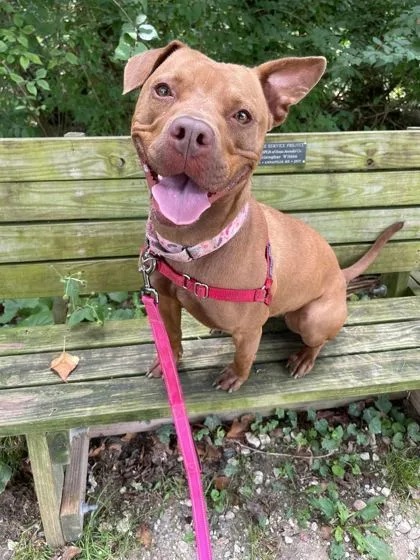 Lily Bug Bella thumbnail 3