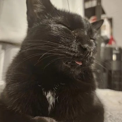 Phoebe Michelle Yr+ thumbnail 2