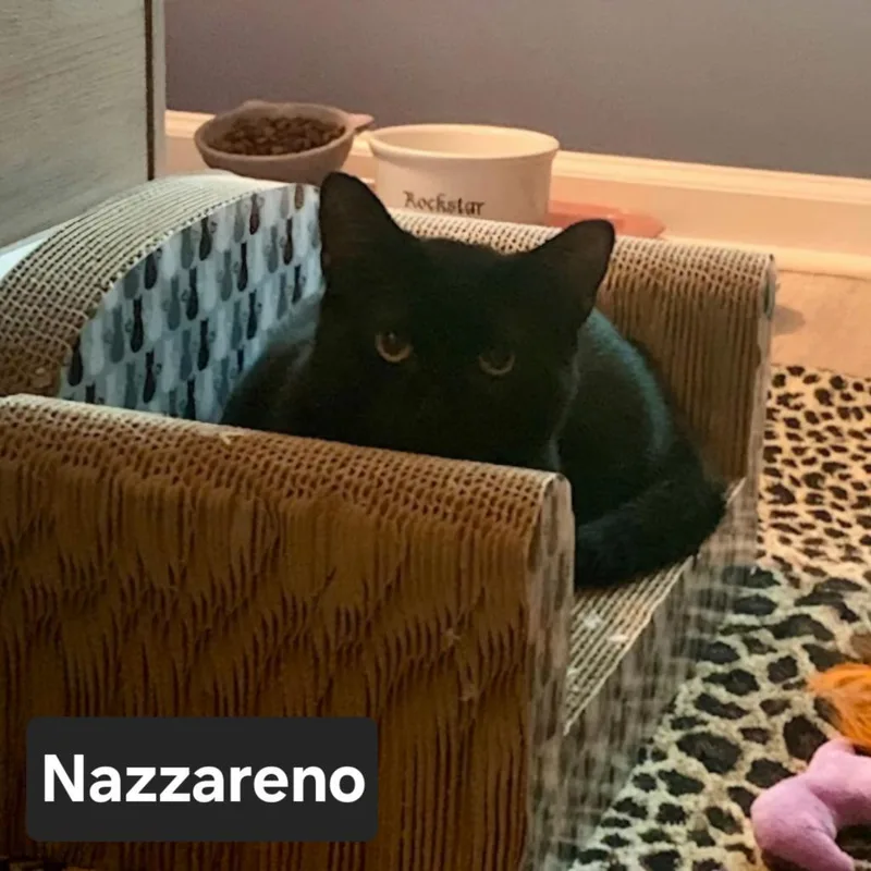Nazzareno
