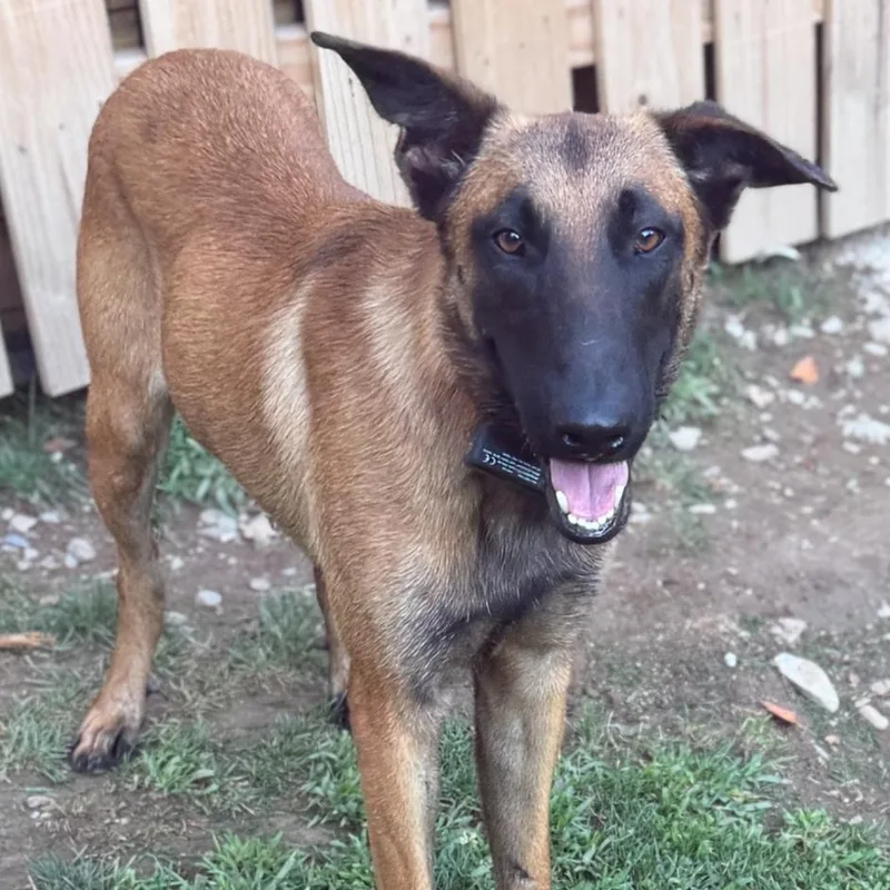 Keni