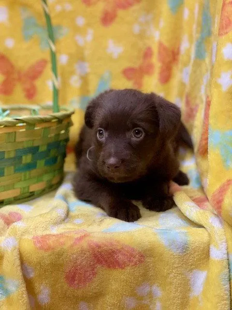 Cristina thumbnail 2