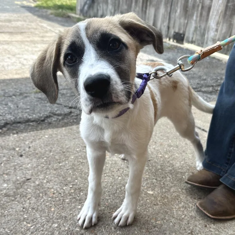 Maggie PR thumbnail 5