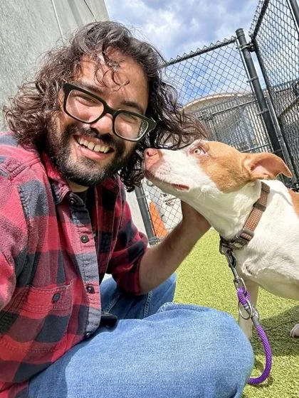 An adult medium-sized male Mixed Breed dog named Carrot for adoption in Wichita, KS