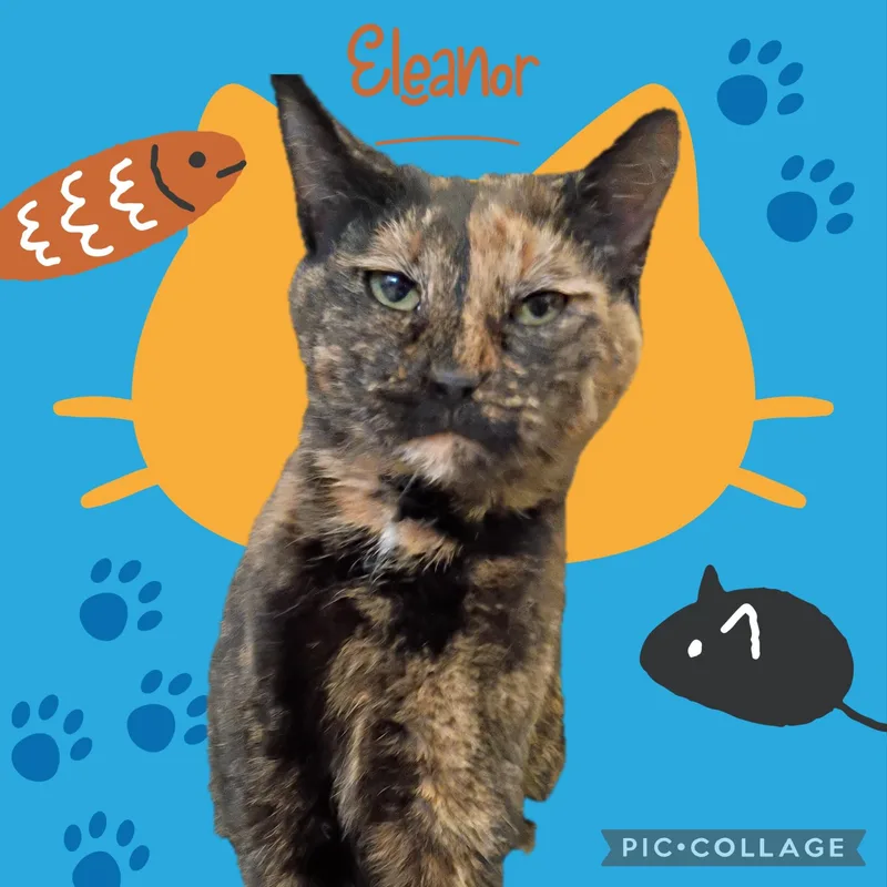 Eleanor