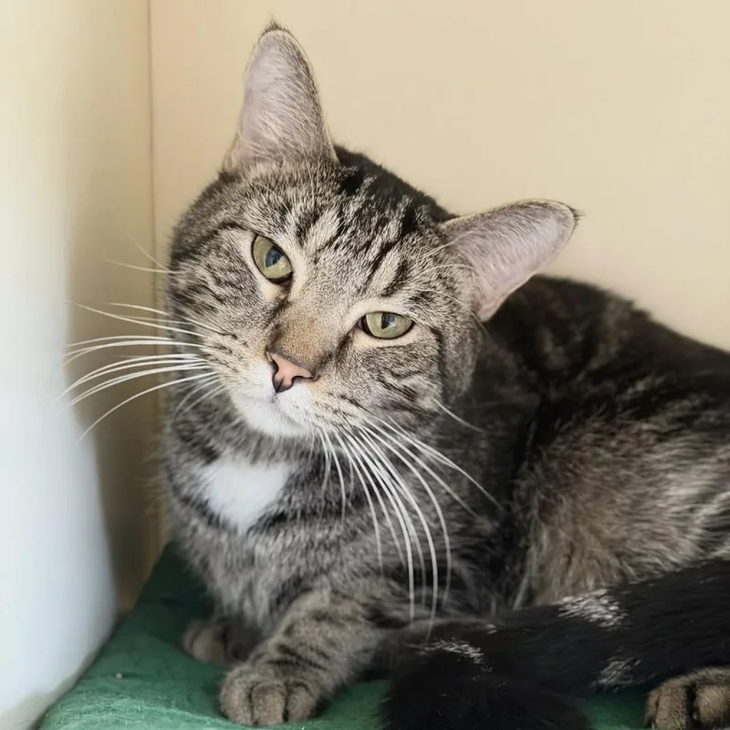 Paul The Alien thumbnail 2