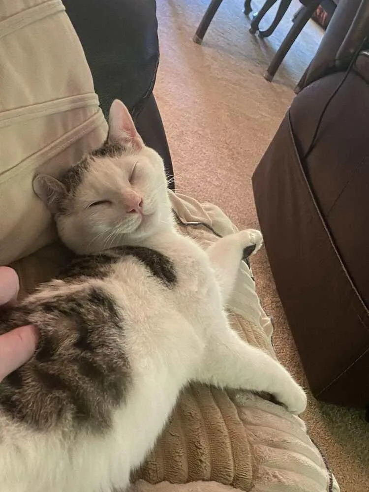 Lightning Mcqueen thumbnail 2