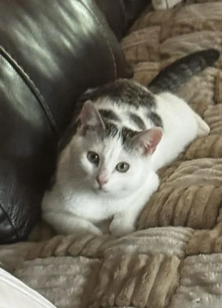 Lightning Mcqueen thumbnail 4