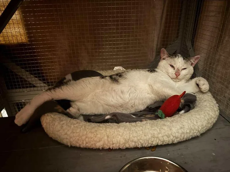 Lightning Mcqueen thumbnail 5