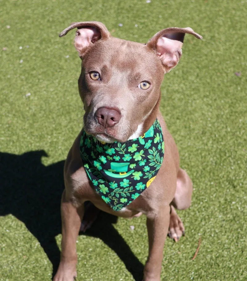 Sid Athens thumbnail 2