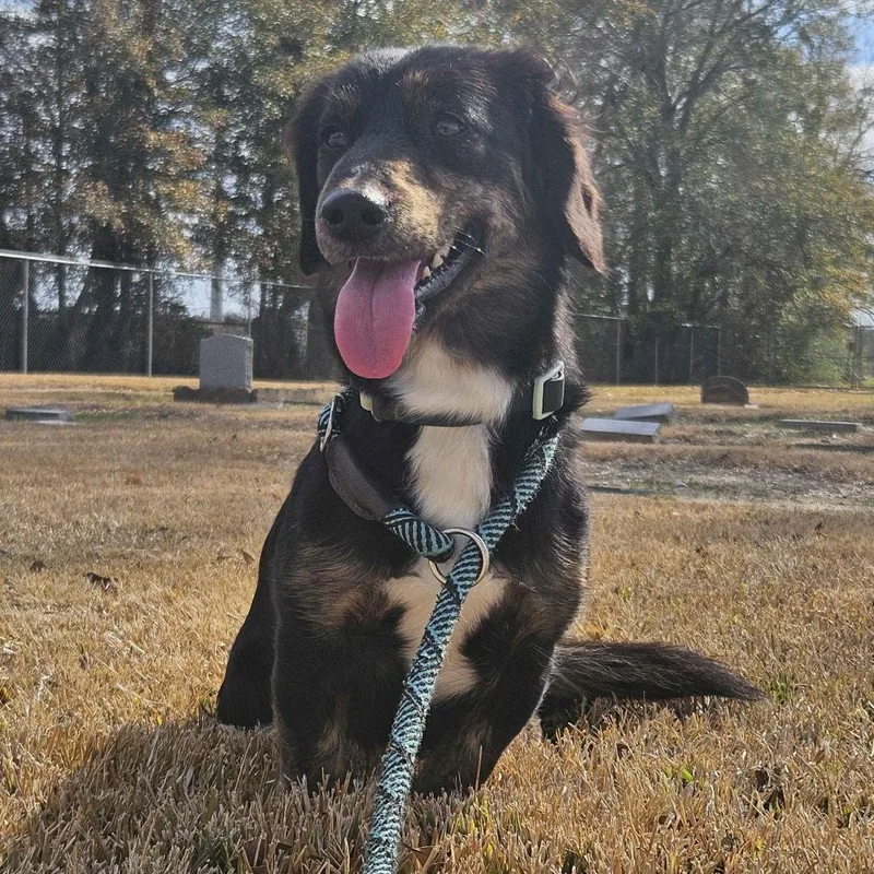 Harley Dee thumbnail 2