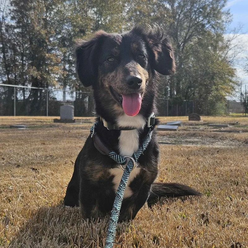 Harley Dee thumbnail 3