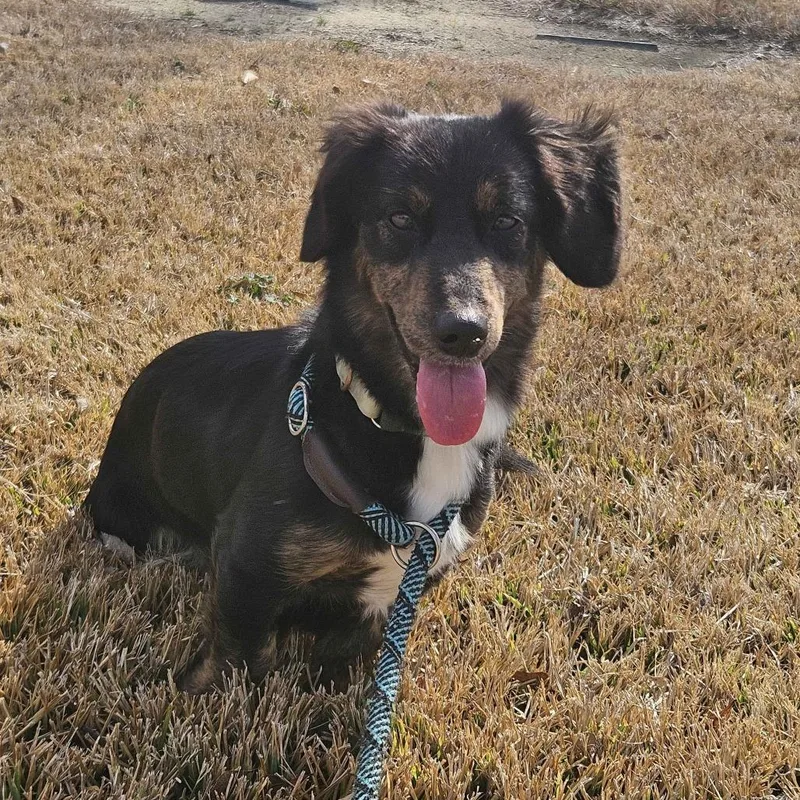 Harley Dee thumbnail 4