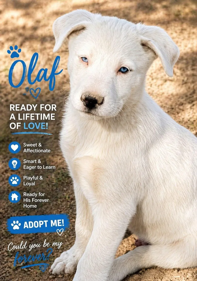 Olaf