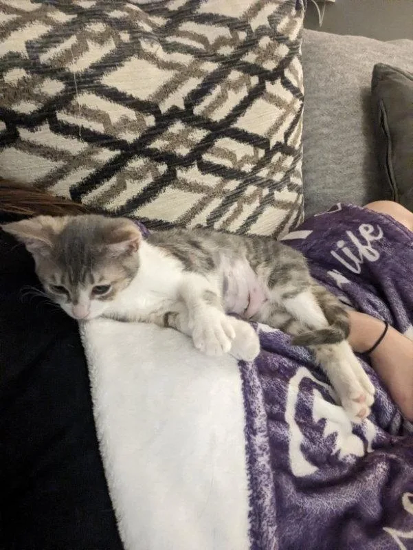 Leela  Kbc thumbnail 2