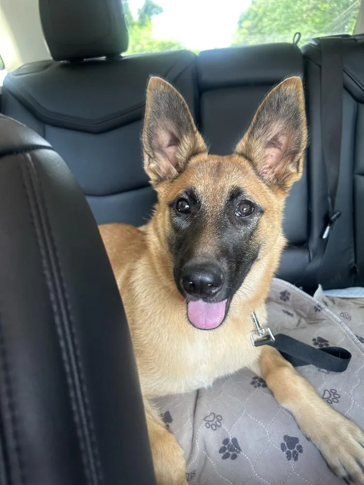 Sadie  located in thumbnail 2