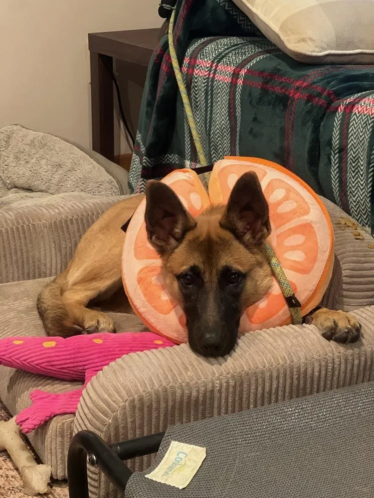 Sadie  located in thumbnail 3