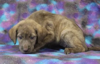 Nyla thumbnail 2