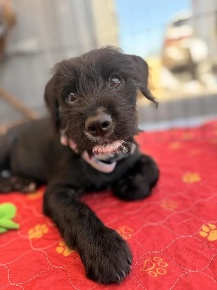 Gabby thumbnail 3