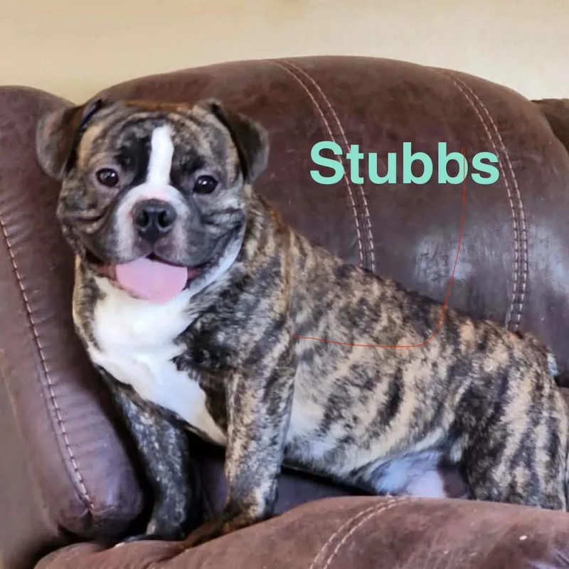 Stubbs